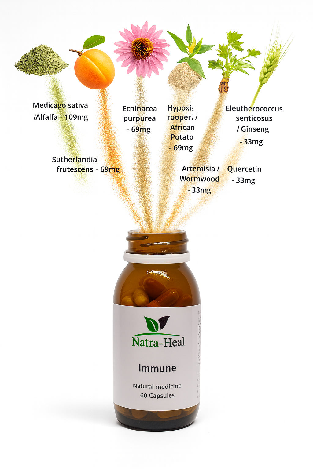 Immune Assist | 60 Capsules
